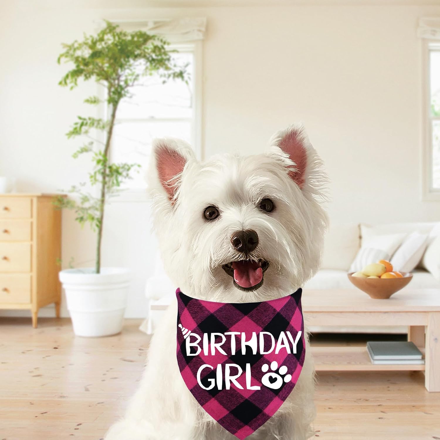 Detalle 1 de STMK Dog Birthday Bandana, Small