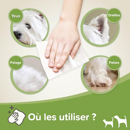 Detalle de Beaphar Lingettes Nettoyantes Yeux, Oreilles, Pattes et Pelage pour Chien etChat – Calendula apaisante – 100 lingettes