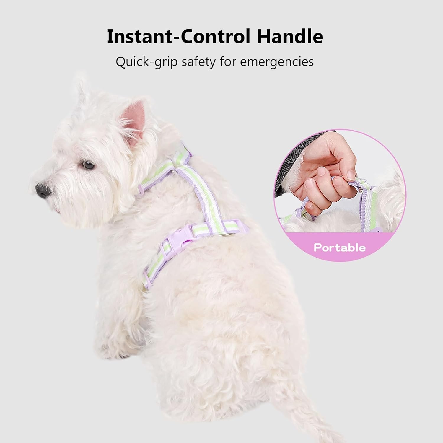 Thumbnail 3 de Anlitent No Pull Dog Harness 2–14kg