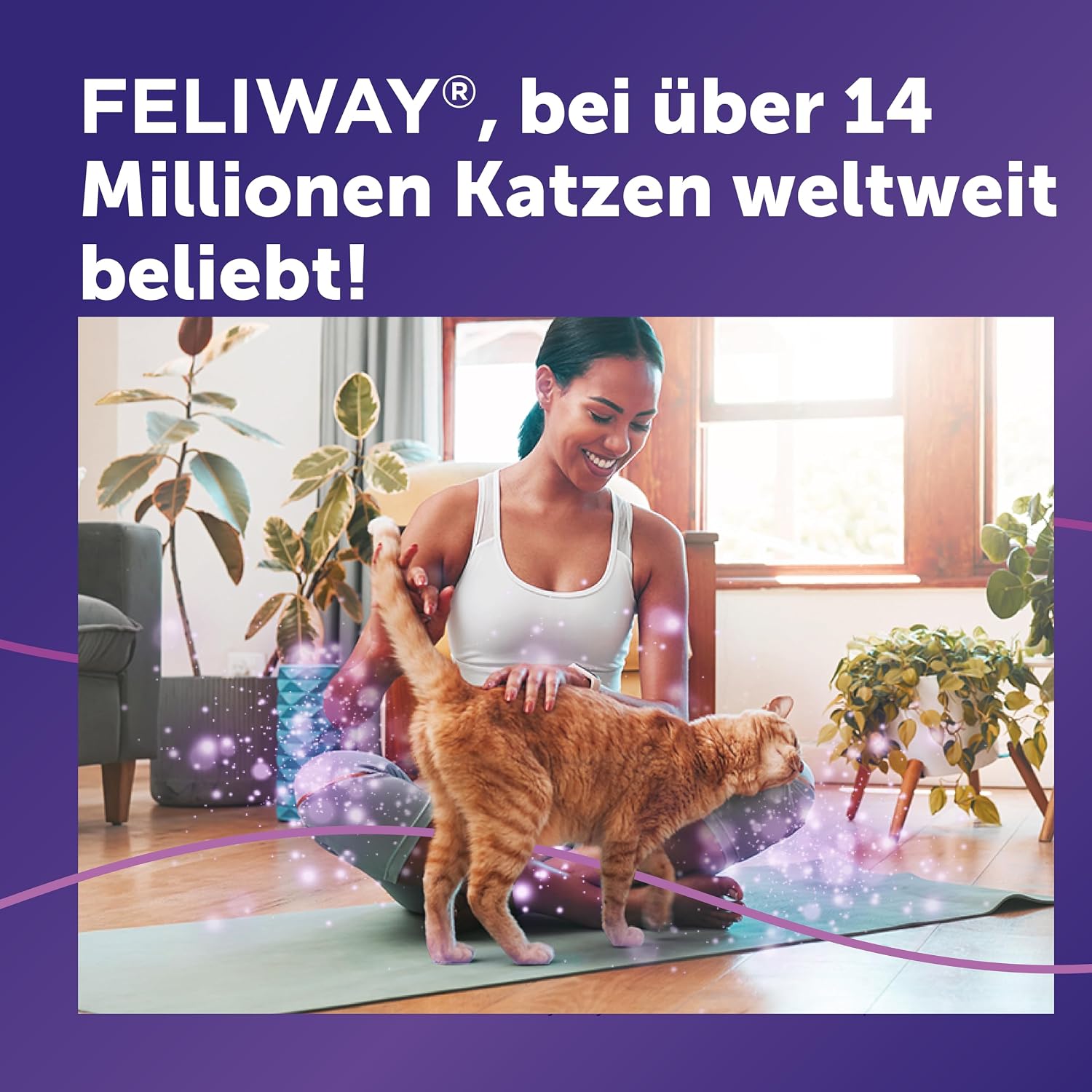 Detalle 2 de FELIWAY Classic Vorteilspack 3x48 ml – Pheromon-Diffuser für Katzen, von Tierärzten empfohlen