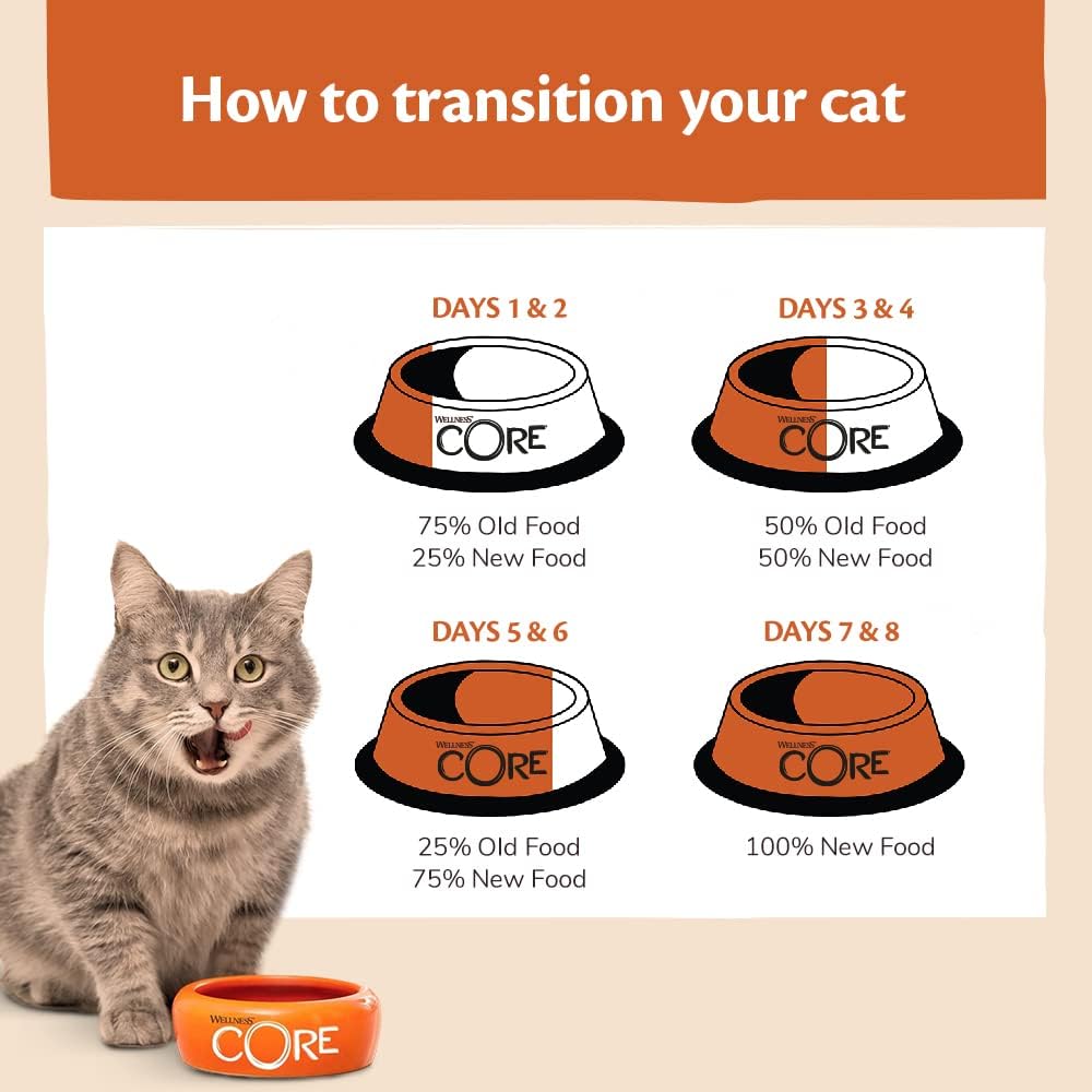 Detalle de Wellness CORE Ocean Ocean 4 kg: Salmon & Tuna Dry Cat Food for Adults