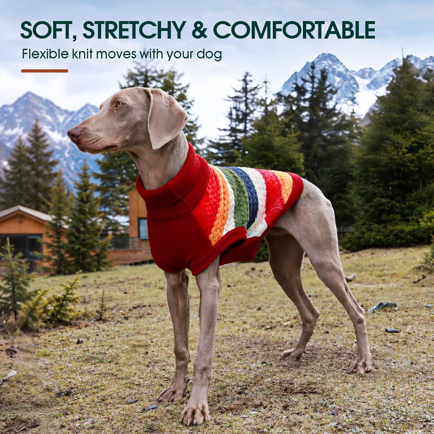 Detalle 2 de Kuoser C118-Kuoser-141MY-Red-XS Dog Sweater, Red XS Cable-Knit Turtleneck