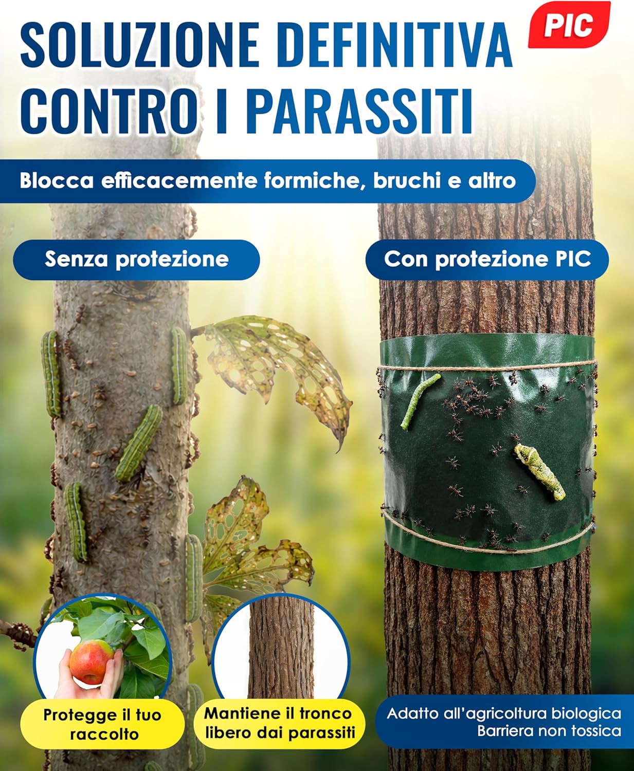Detalle 2 de PIC Anello Colla per alberi da frutto 2x5m