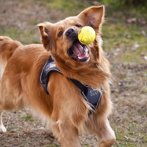 Thumbnail 4 de Ferplast Chewa Boing balle pour chien 🎵