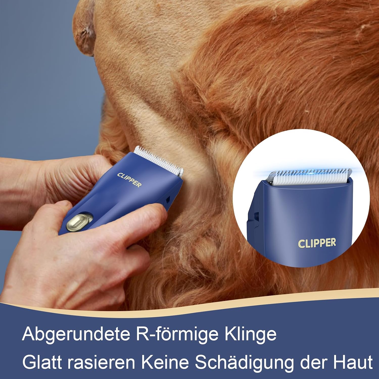 Detalle 2 de Professionelle Hundeschermaschine 7500RPM