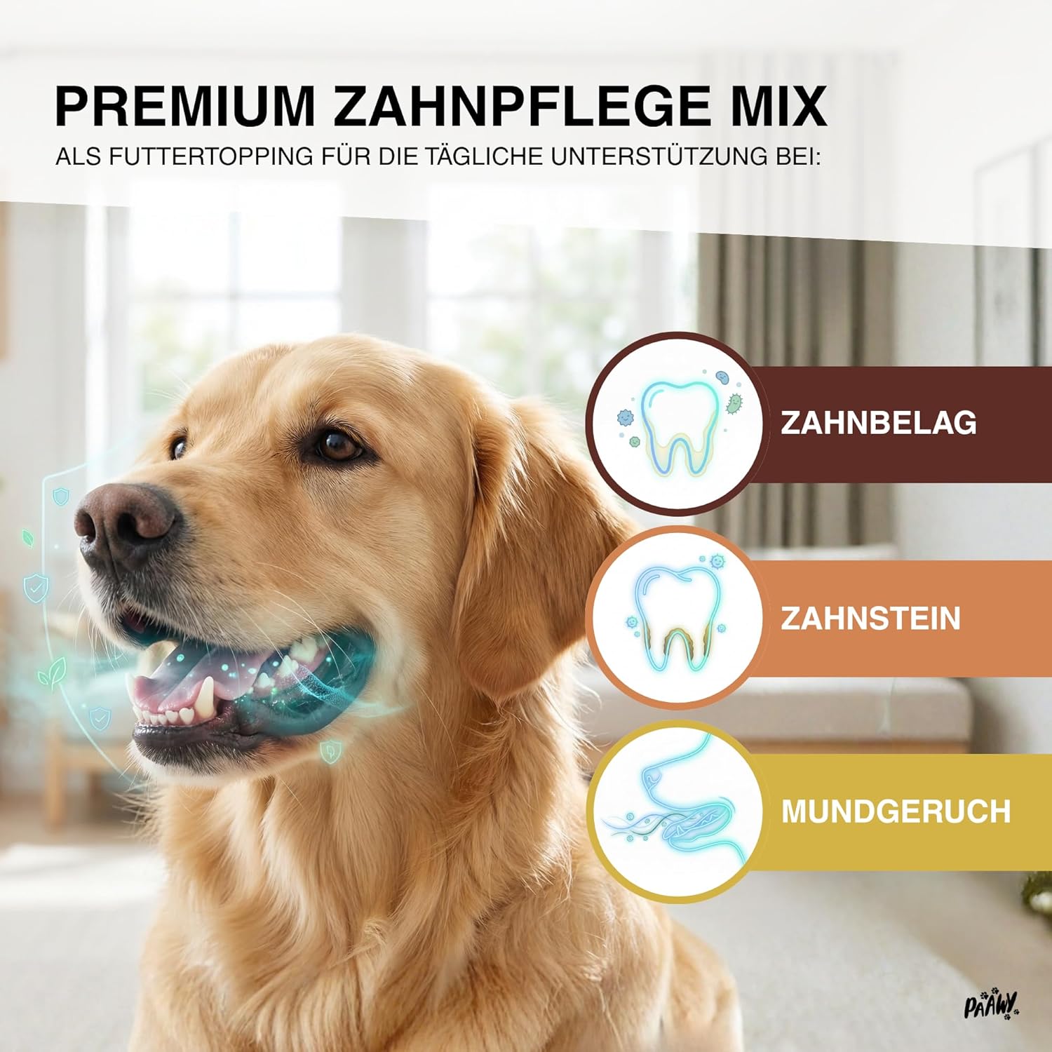 Detalle de paawy Dental Pulver für Hunde – 9-in-1 Wirkstoff-Komplex, Zahnsteinentferner & Mundgeruch-Futtertopping