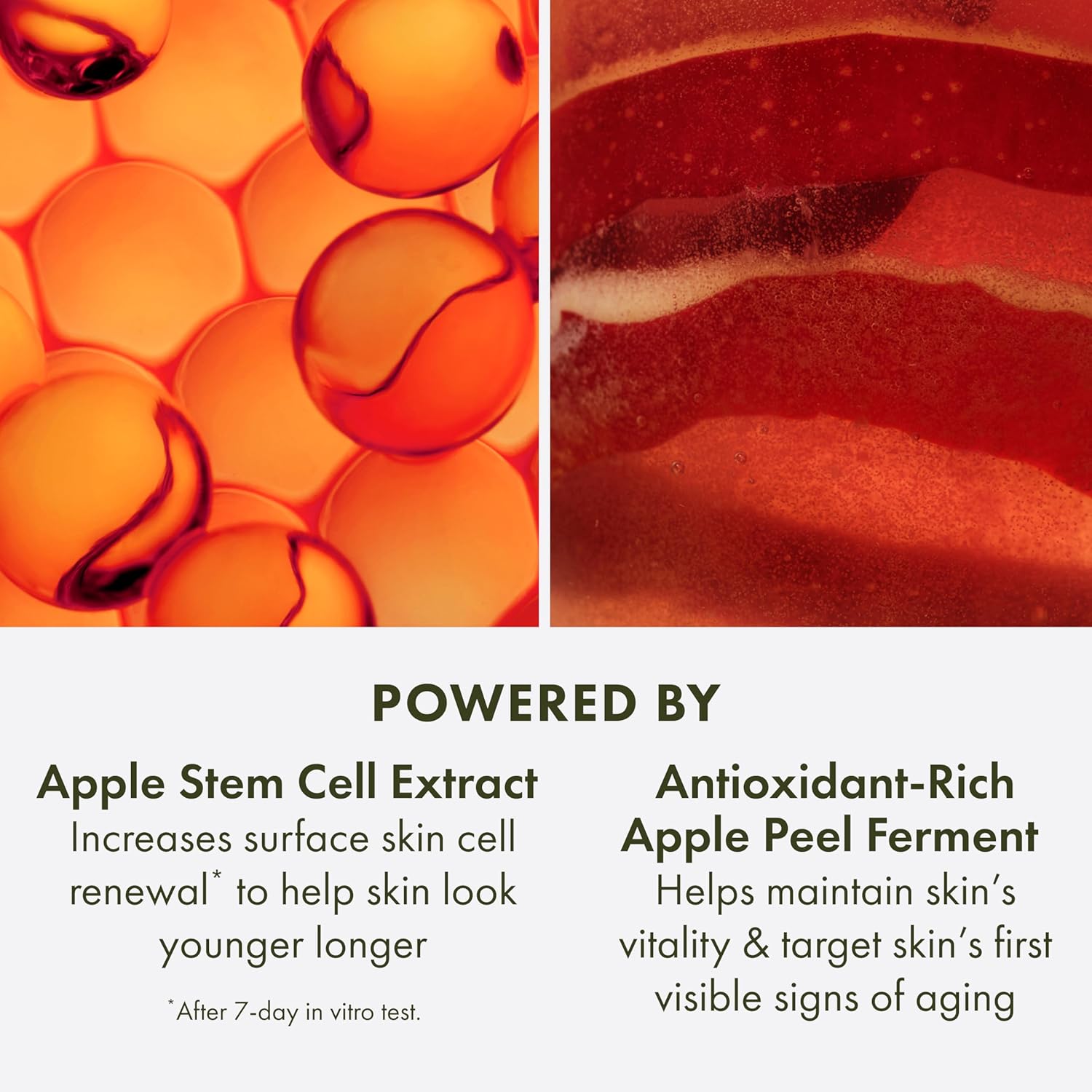 Detalle de Origins Youthtopia Peptide Plumping Apple Moisturiser
