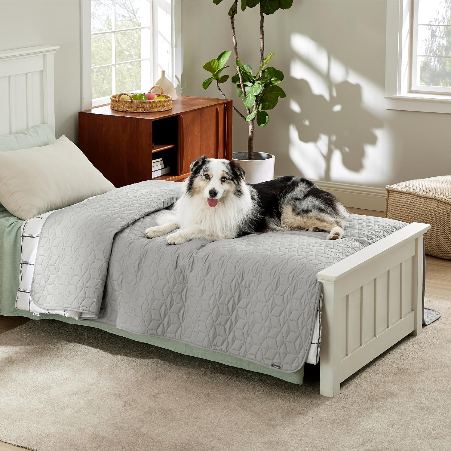 Thumbnail 6 de Bedsure wasserdichte Hundedecke 173 x 208 cm – rutschfester Couchschutz mit TPU-Futter, grau