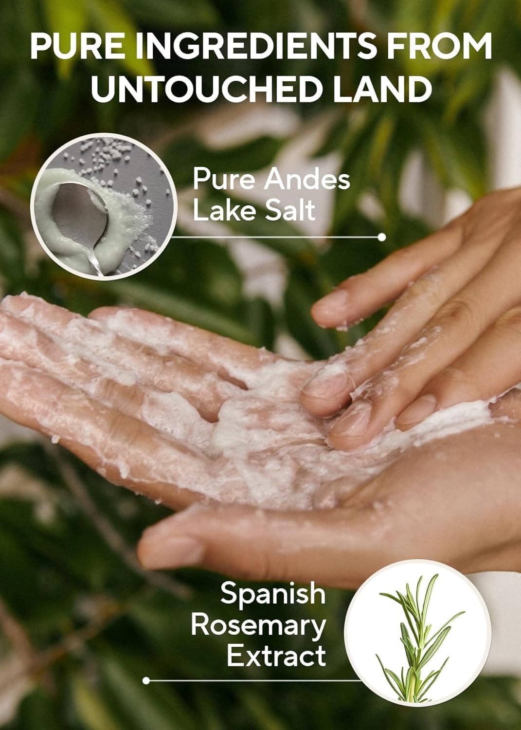 Detalle de AROMATICA Shampoo Scrub al Sale di Rosmarino 300 g – Esfolia e contrasta la caduta dei capelli