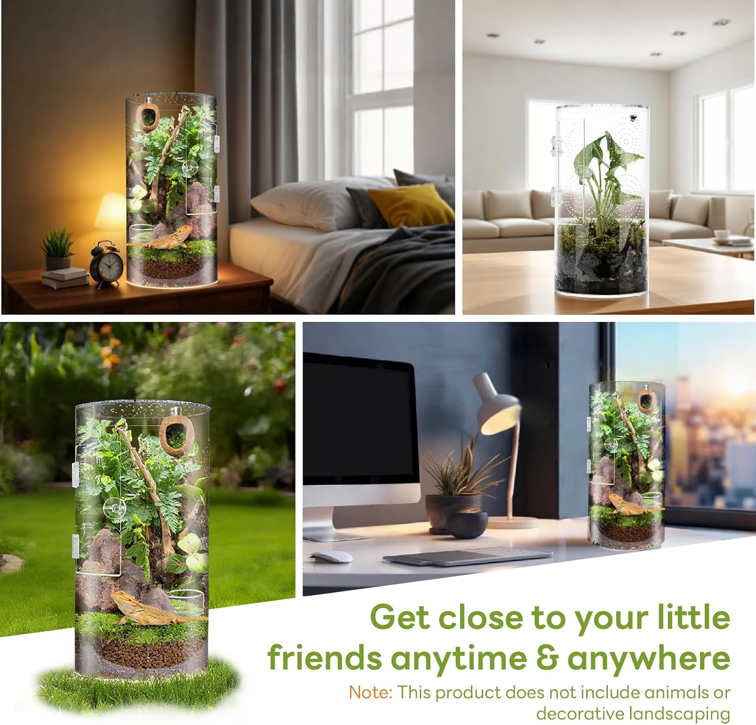 Thumbnail 6 de Zylindrisches Acryl-Terrarium 29 cm Panorama