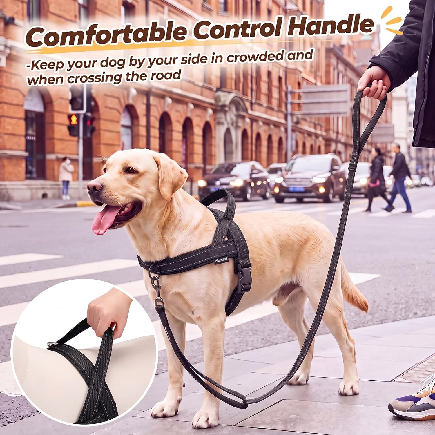 Thumbnail 5 de Wuhnesd W-DHL-004BK-L No-Pull Dog Harness and 5-Foot Leash Set, Black
