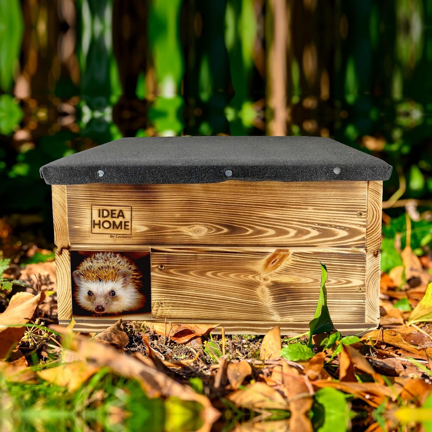 Detalle de IDEA HOME – domek dla jeży z litego drewna, z labiryntem i zdejmowanym dachem