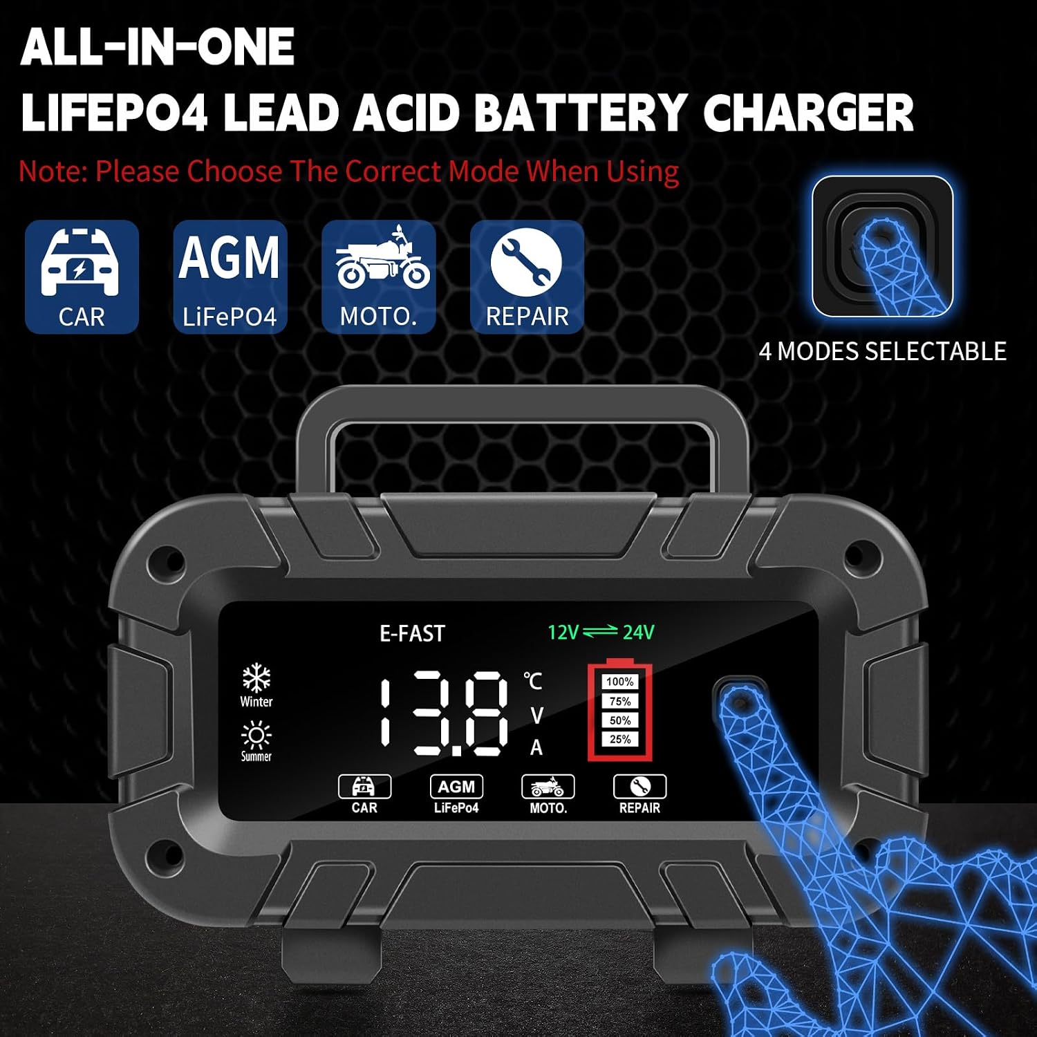 Detalle de E-FAST Battery Charger 12/24V