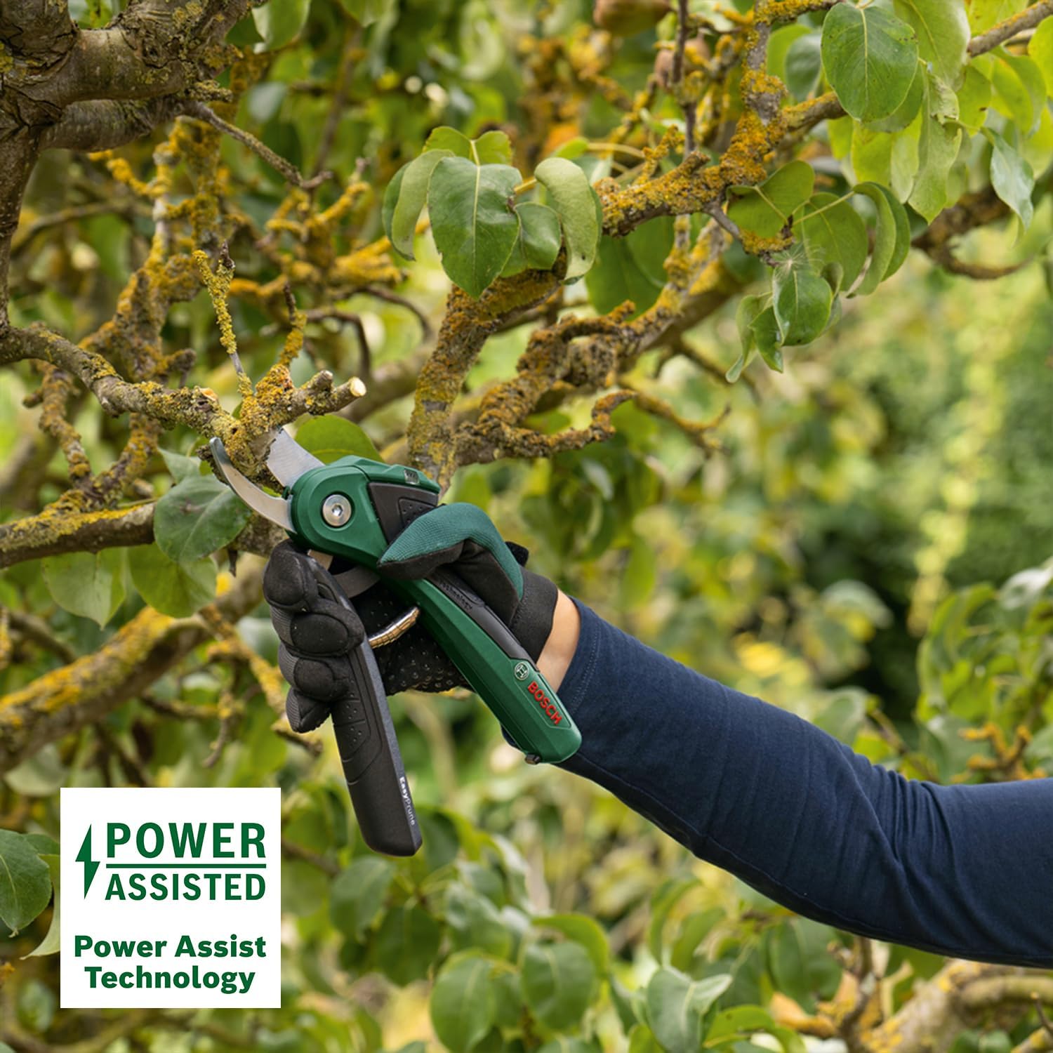 Thumbnail 4 de Bosch EasyPrune – Forbici potatura a batteria da 3,6 V con 450 tagli per ricarica