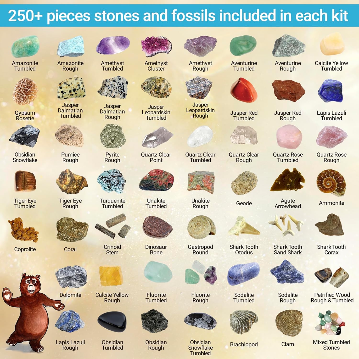 Thumbnail 1 de DANCING BEAR Rock, Mineral & Geodes Kit 250 pc 🪨