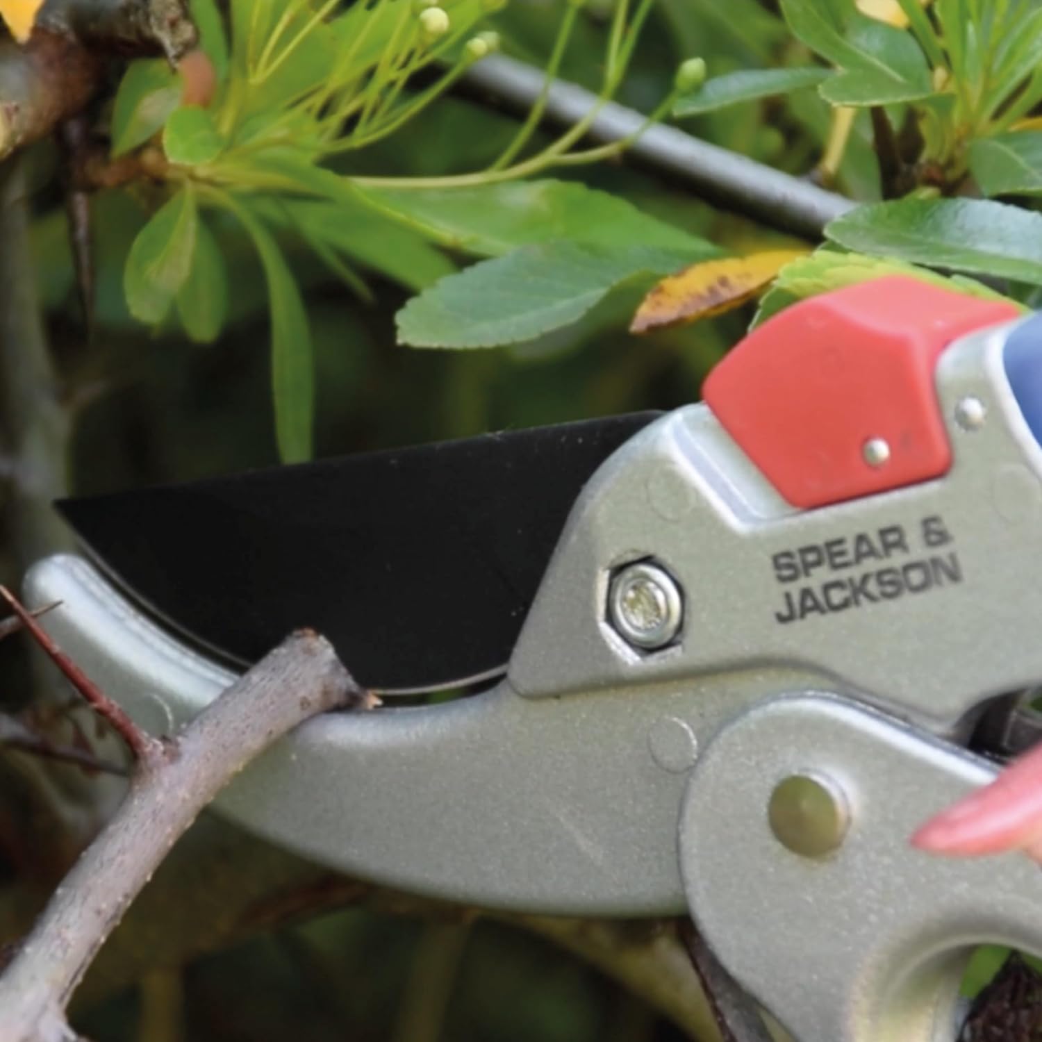 Thumbnail 4 de Spear & Jackson 6758GS Razorsharp Geared Anvil Secateurs