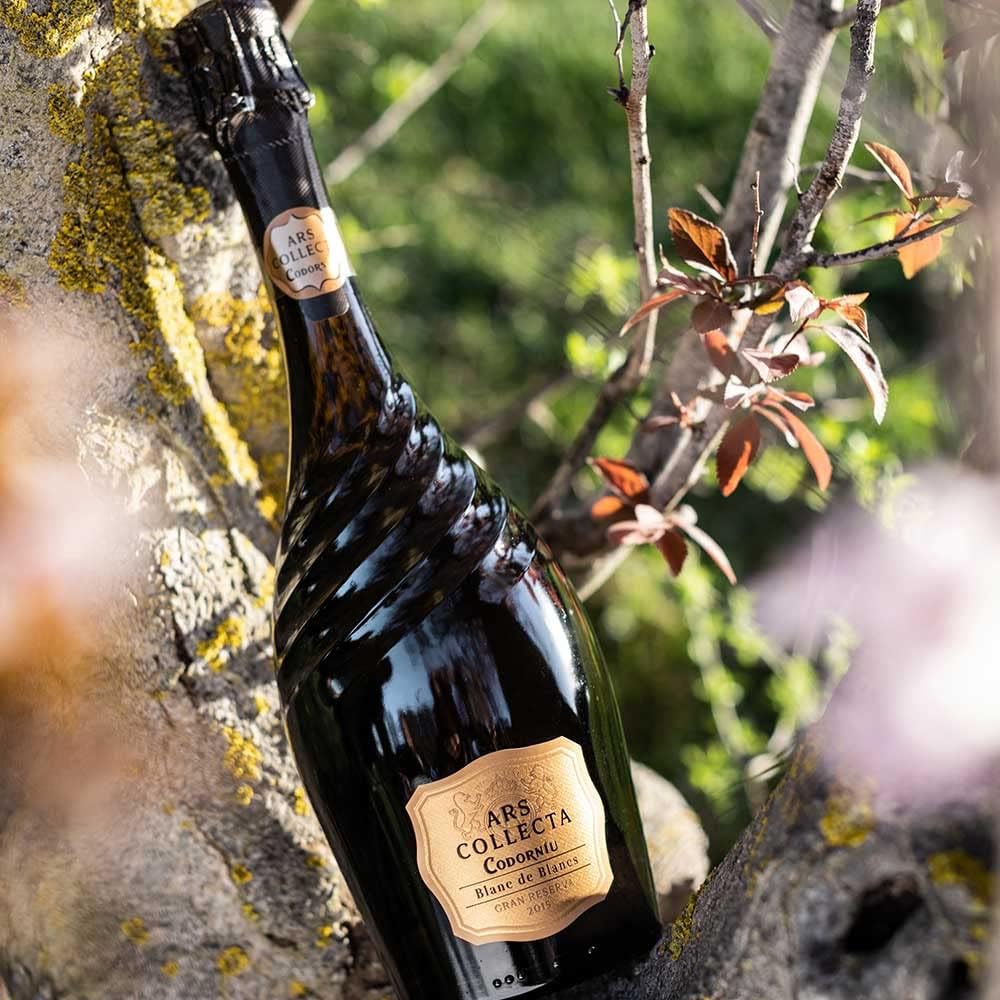 Detalle de Codorniu Ars Collecta Blanc de Blancs Cava Reserva 0.75L 🥂