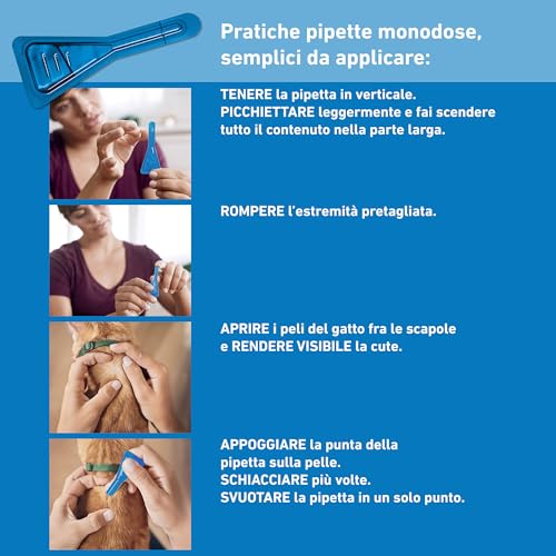 Detalle de FRONTLINE Spot On Gatti 6 Pipette da 0,5 ml: antipulci e antiparassitario per gatti e gattini