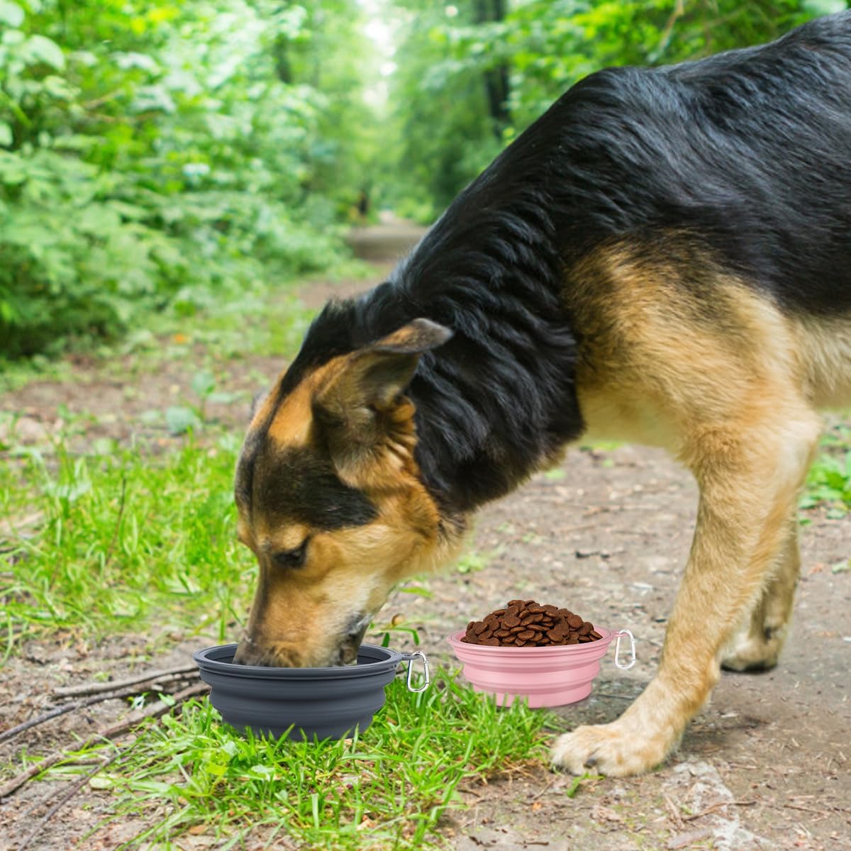 Thumbnail 6 de Kytely Collapsible Dog Bowls 1,500 ml