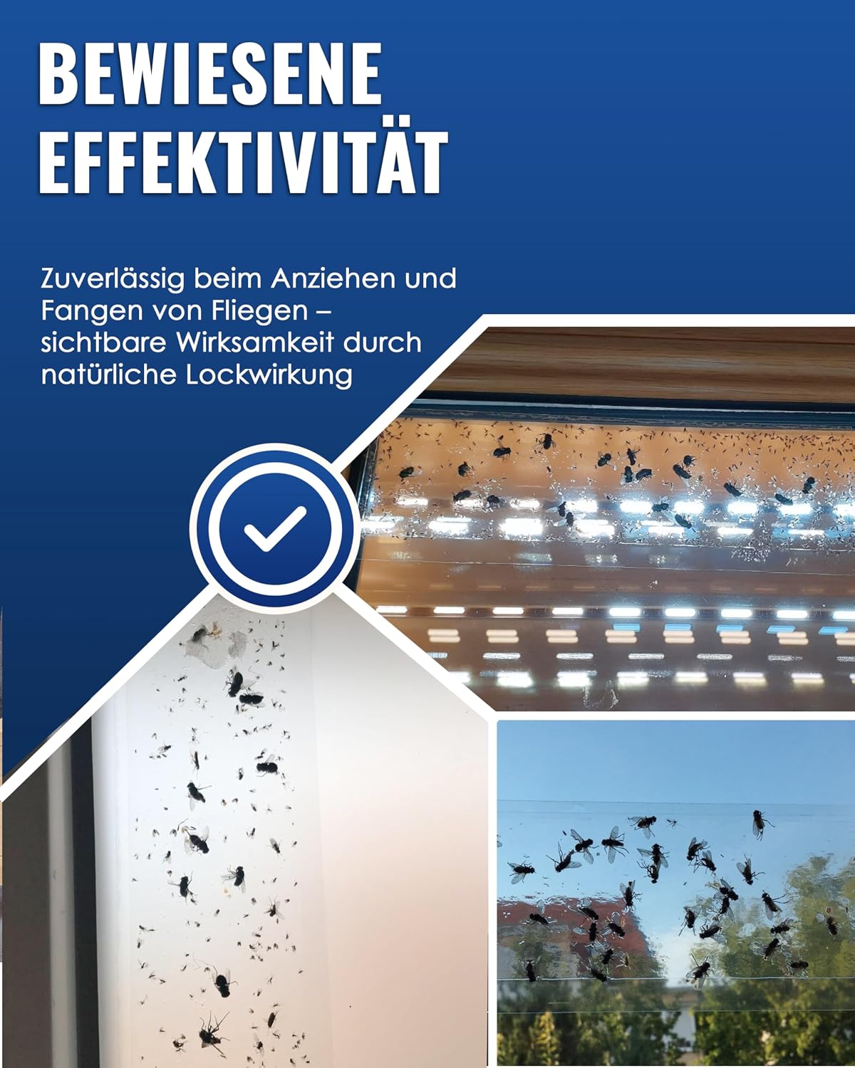 Thumbnail 6 de PIC Fenster-Fliegenfalle 16 Stück