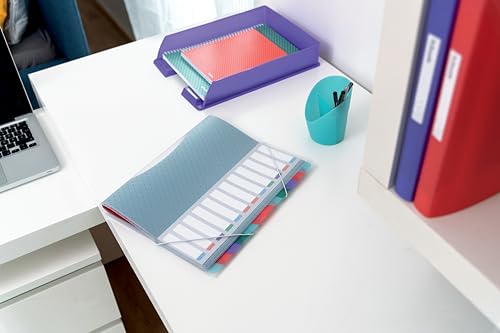 Detalle de Esselte Trieur A4 à 12 Compartiments Colour'Breeze Texturé – Multicolore