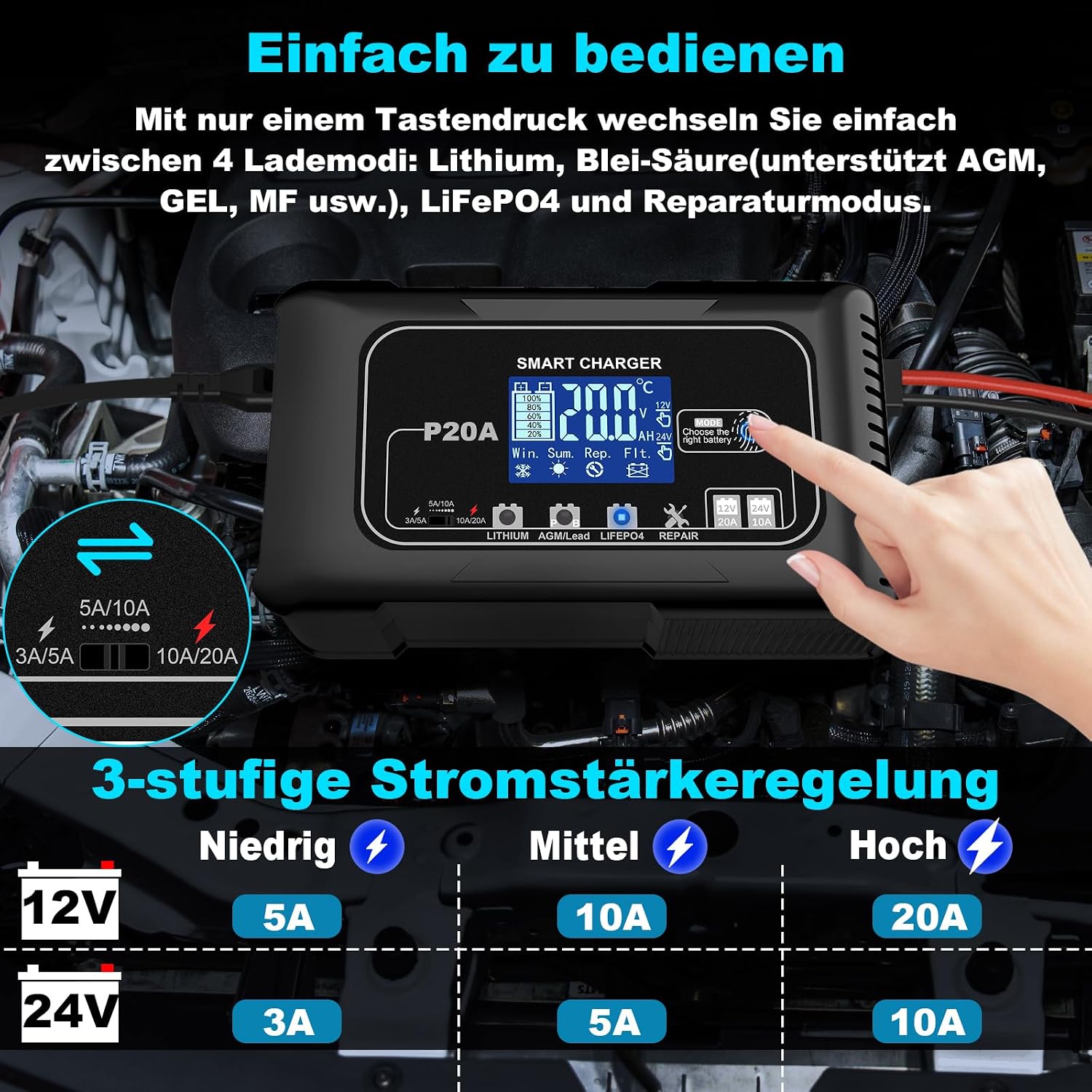 Detalle 2 de 20A Autobatterie Ladegerät 12V/24V