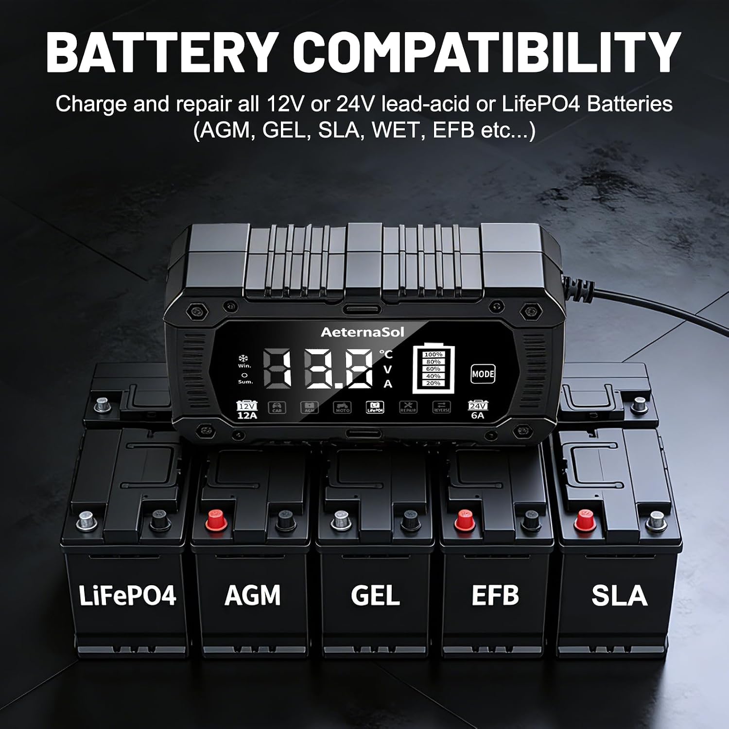 Thumbnail 5 de Smart Car Battery Charger, 12V/24V