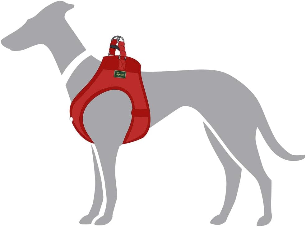 Thumbnail 4 de HUNTER Hundegeschirr Love XS–S, Lederrot ❤️🐶🐕 🐾