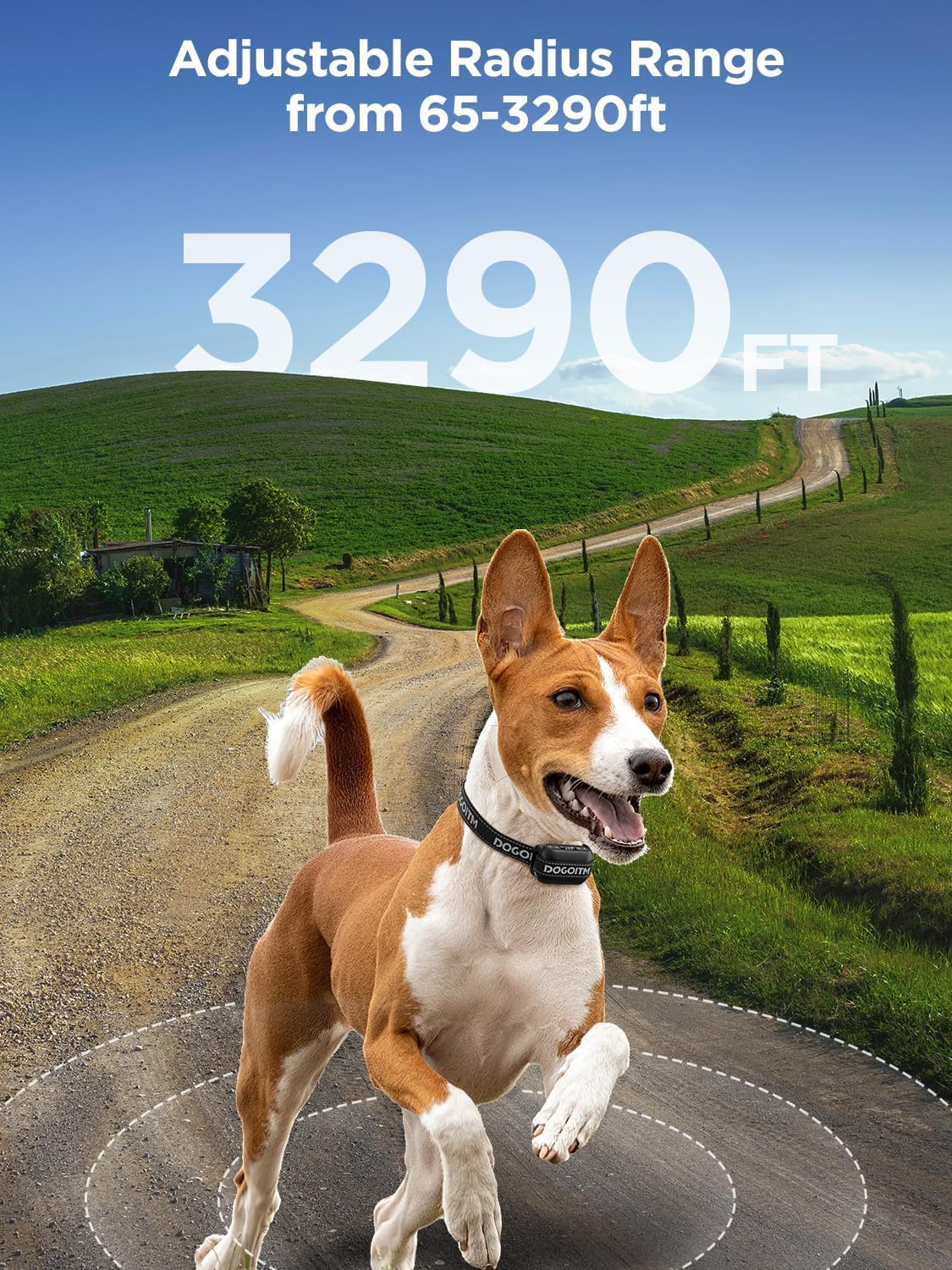 Detalle 2 de DOGOITM GPS Dog Fence