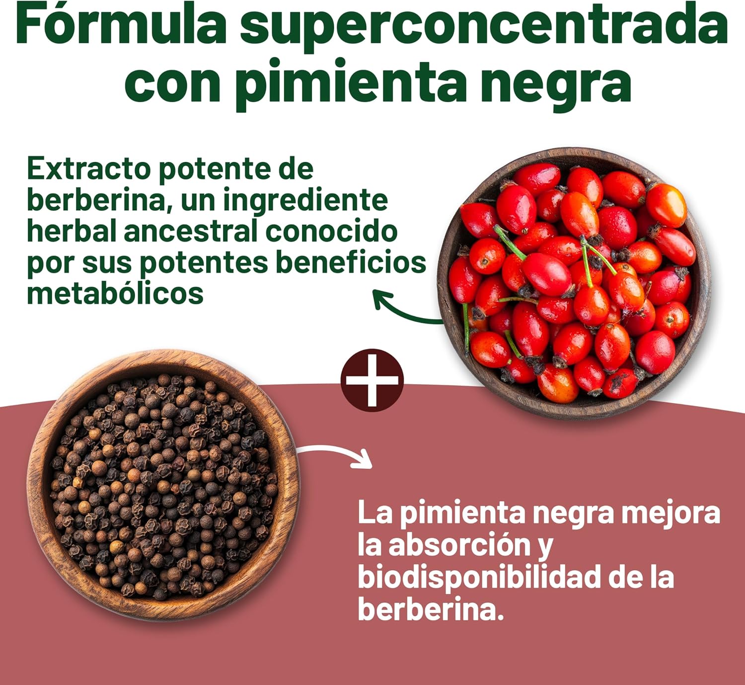 Thumbnail 4 de Berberina Alta Potencia 1500 mg cápsulas
