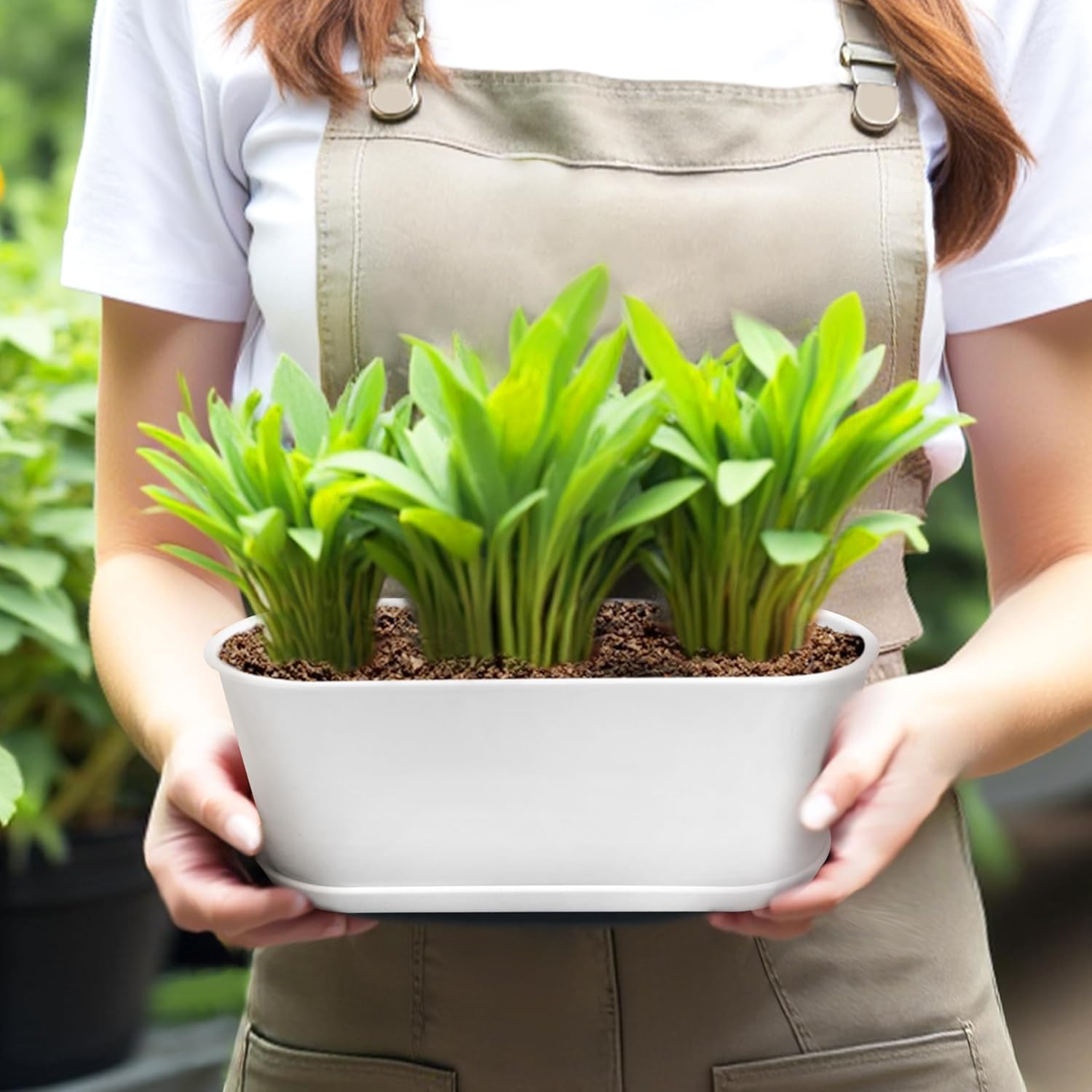 Thumbnail 6 de Torfican 8.5-Inch Window Box Planters, 5-Pack White Plastic Pots