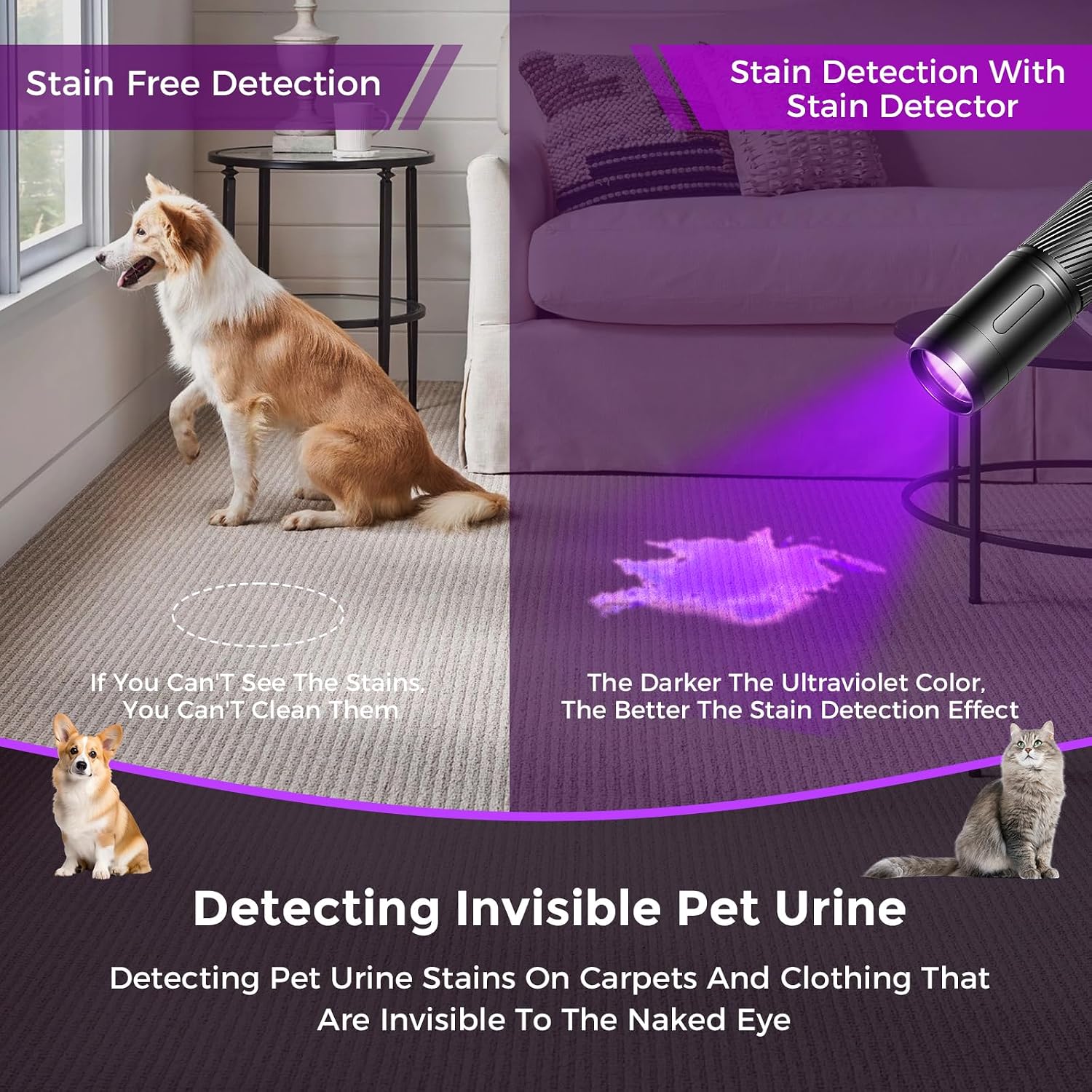 Detalle de GEARLITE UV Torch Rechargeable Ultraviolet Flashlight (395nm) – Mini UV Black Light Detector