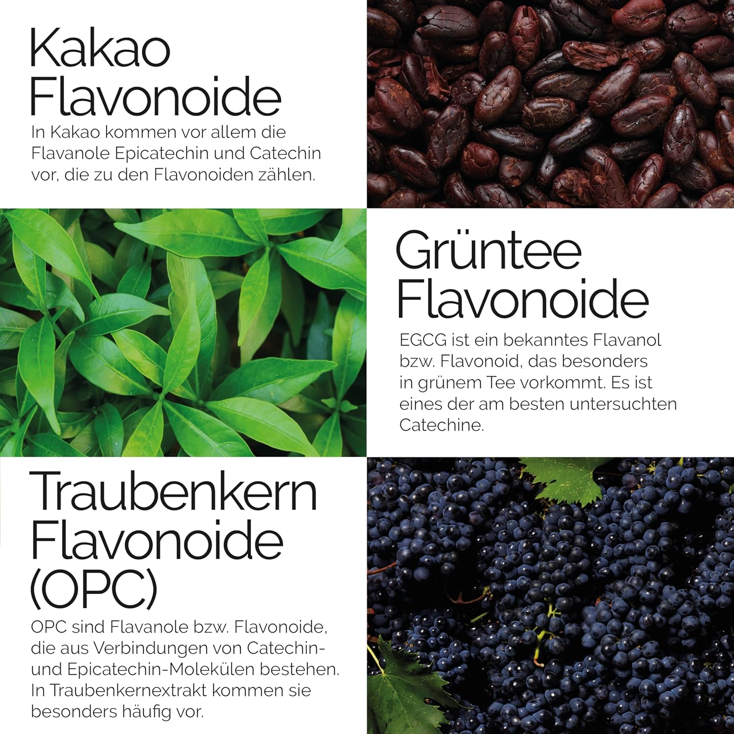 Thumbnail 1 de Flavonoide Bioflavonoide 90 Kapseln Kakao
