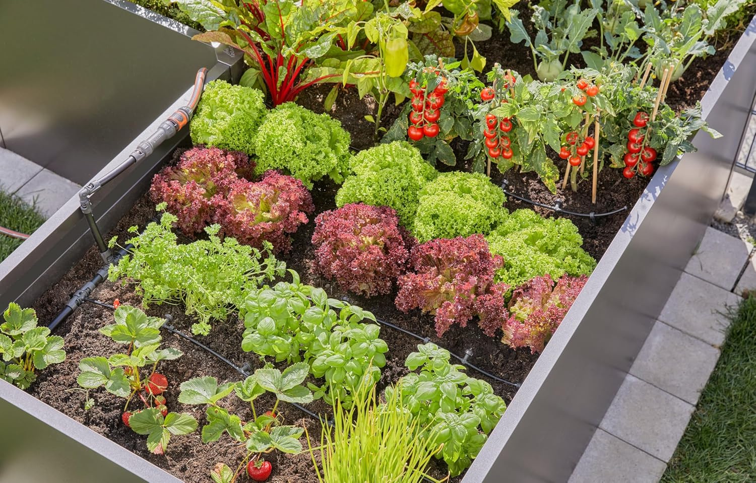 Detalle de Gardena Micro-Drip-System Tropfbewässerung Set Hochbeet/Beet (35 Pflanzen) – 13455-20