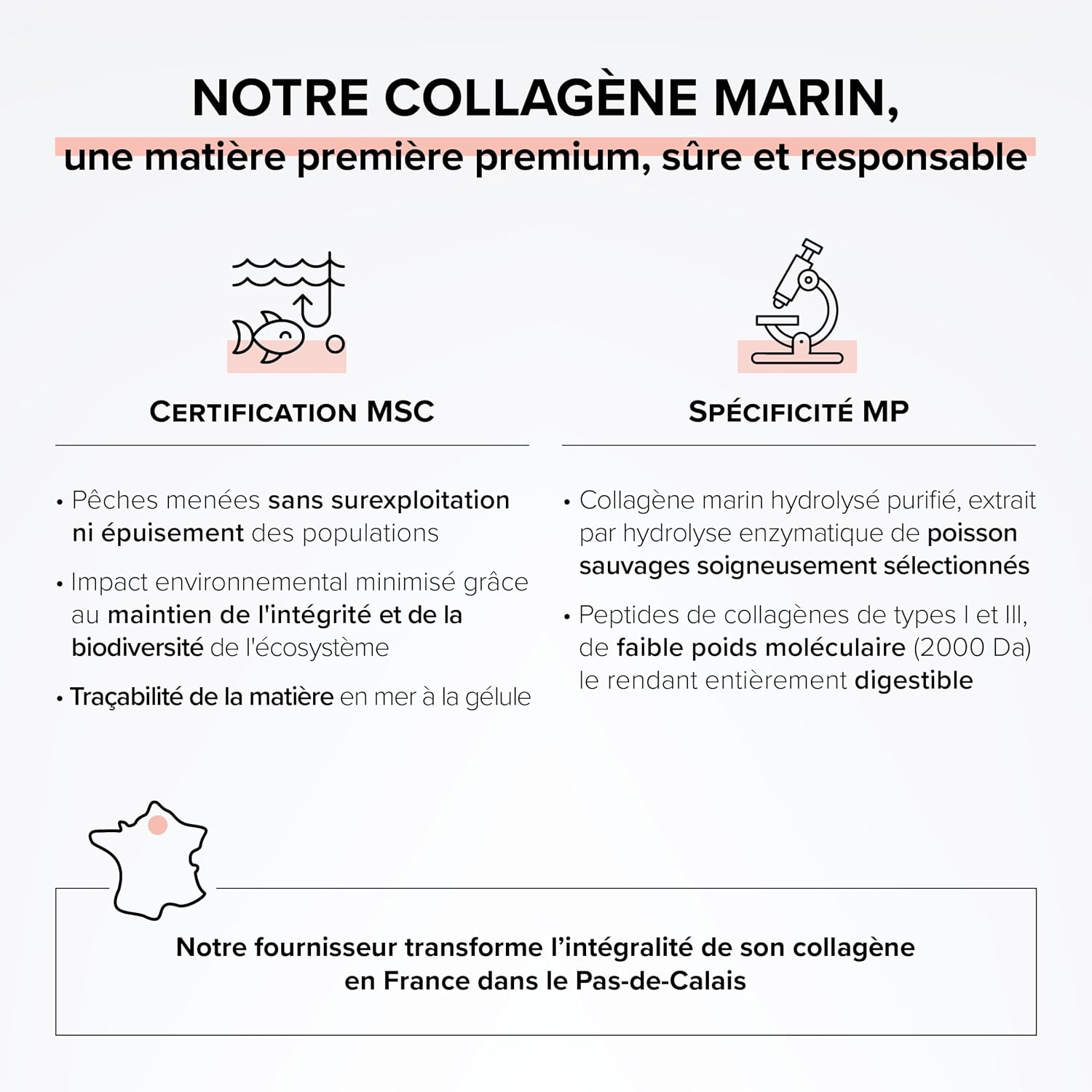 Detalle de Collagène marin 2000Da + Acide hyaluronique 300 mg – Beyond Elements, 100 gélules