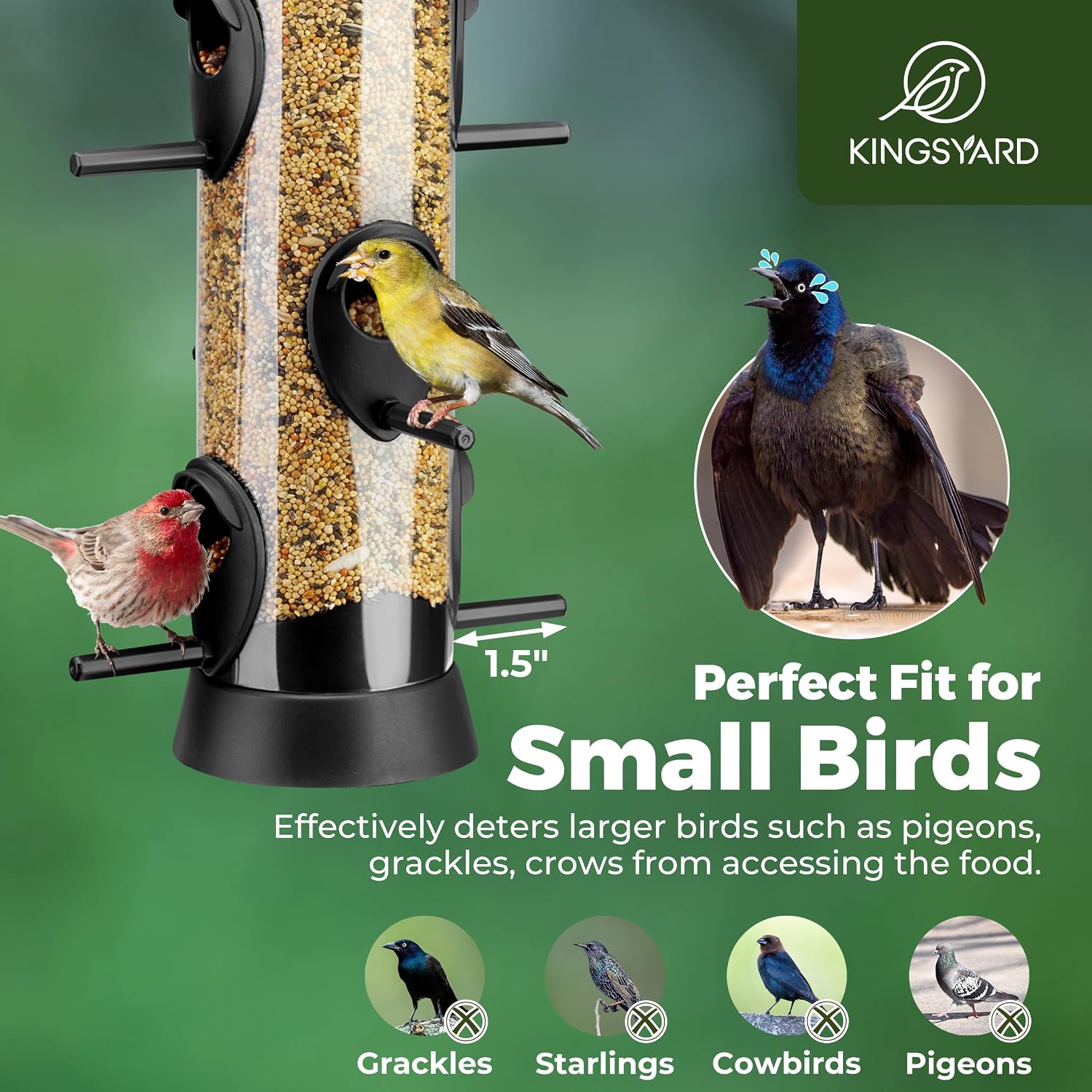Thumbnail 3 de Kingsyard 2 Pack Tube Bird Feeder for Outdoors with Removable Base and Perch, 6 Feeding Ports