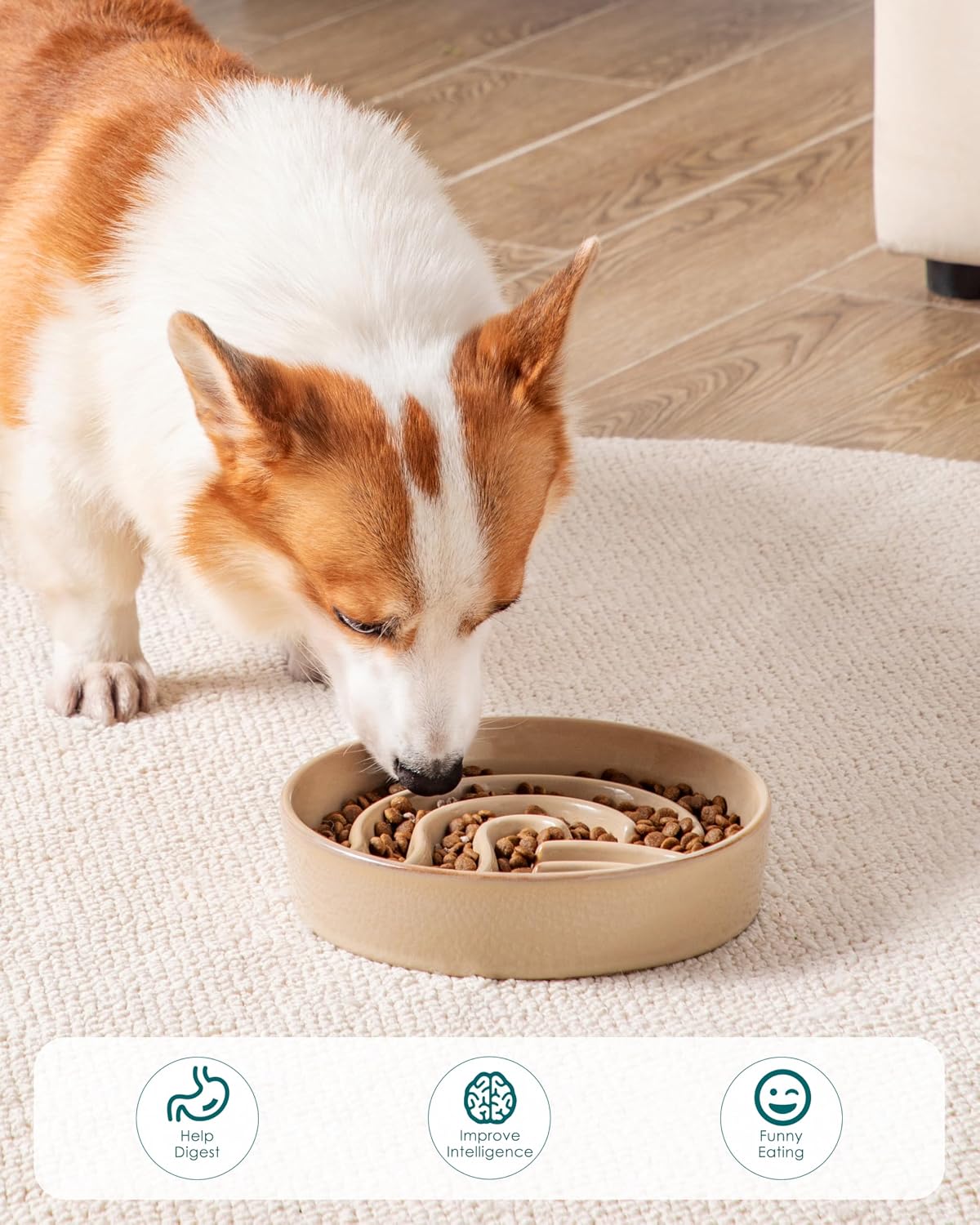 Thumbnail 6 de vancasso Slow Feeder Dog Bowl (1.5 Cup) – ceramic maze puzzle bowl for small & medium pets, brown