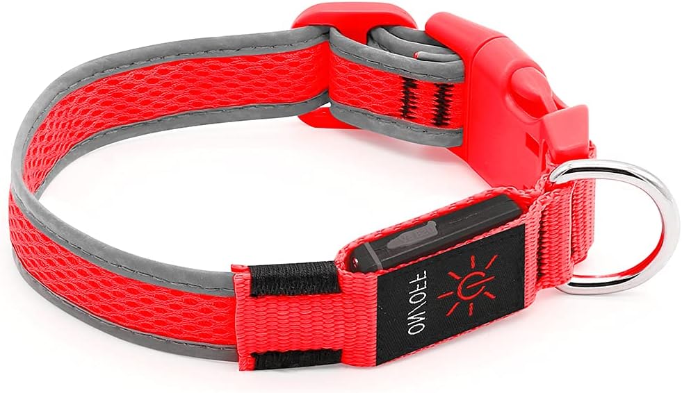 Thumbnail 6 de YFbrite Light up Dog Collar 8h battery