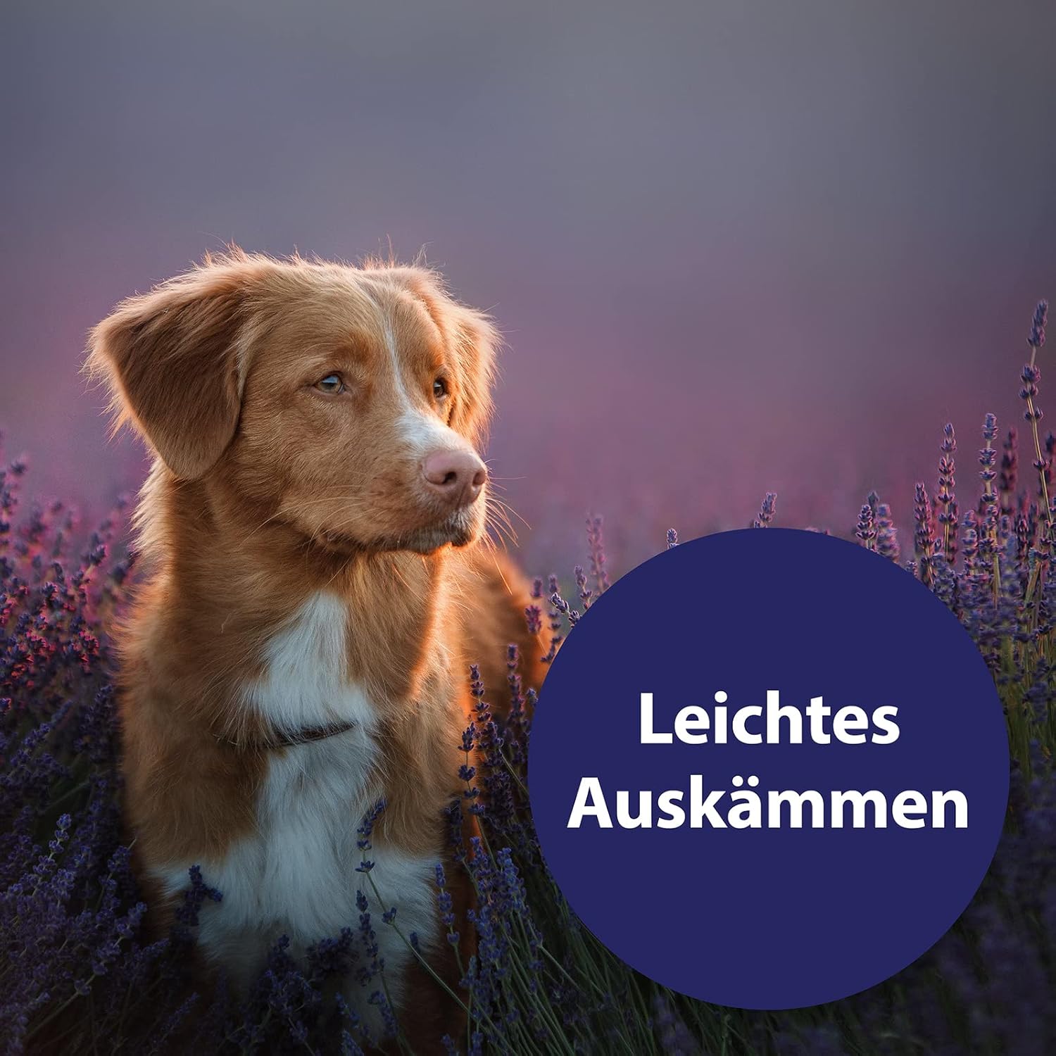 Detalle de Canosept Fellpflegespray – Nie wieder Knoten beim Hund