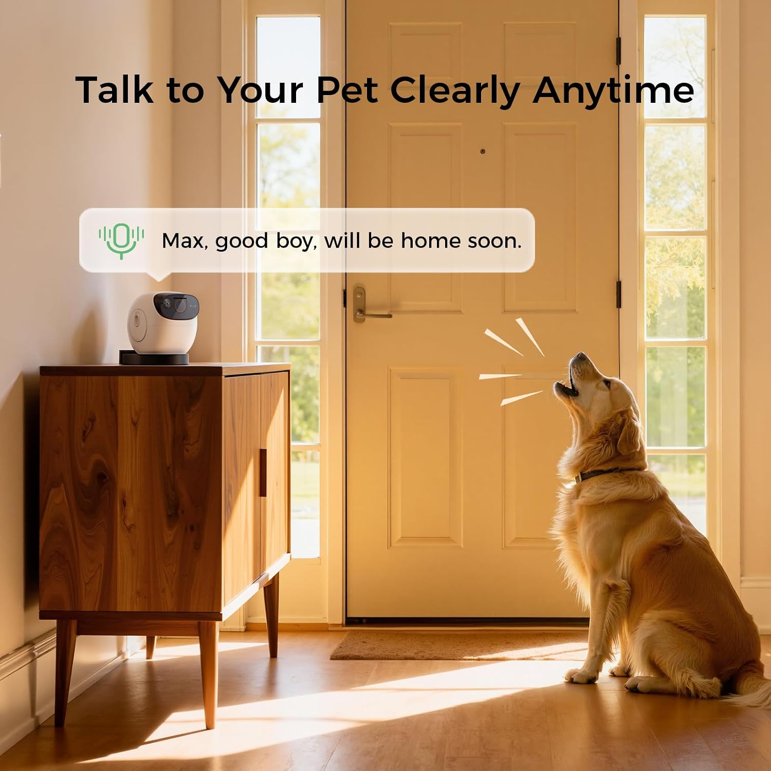 Detalle 1 de Pet camera treat dispenser, 3K