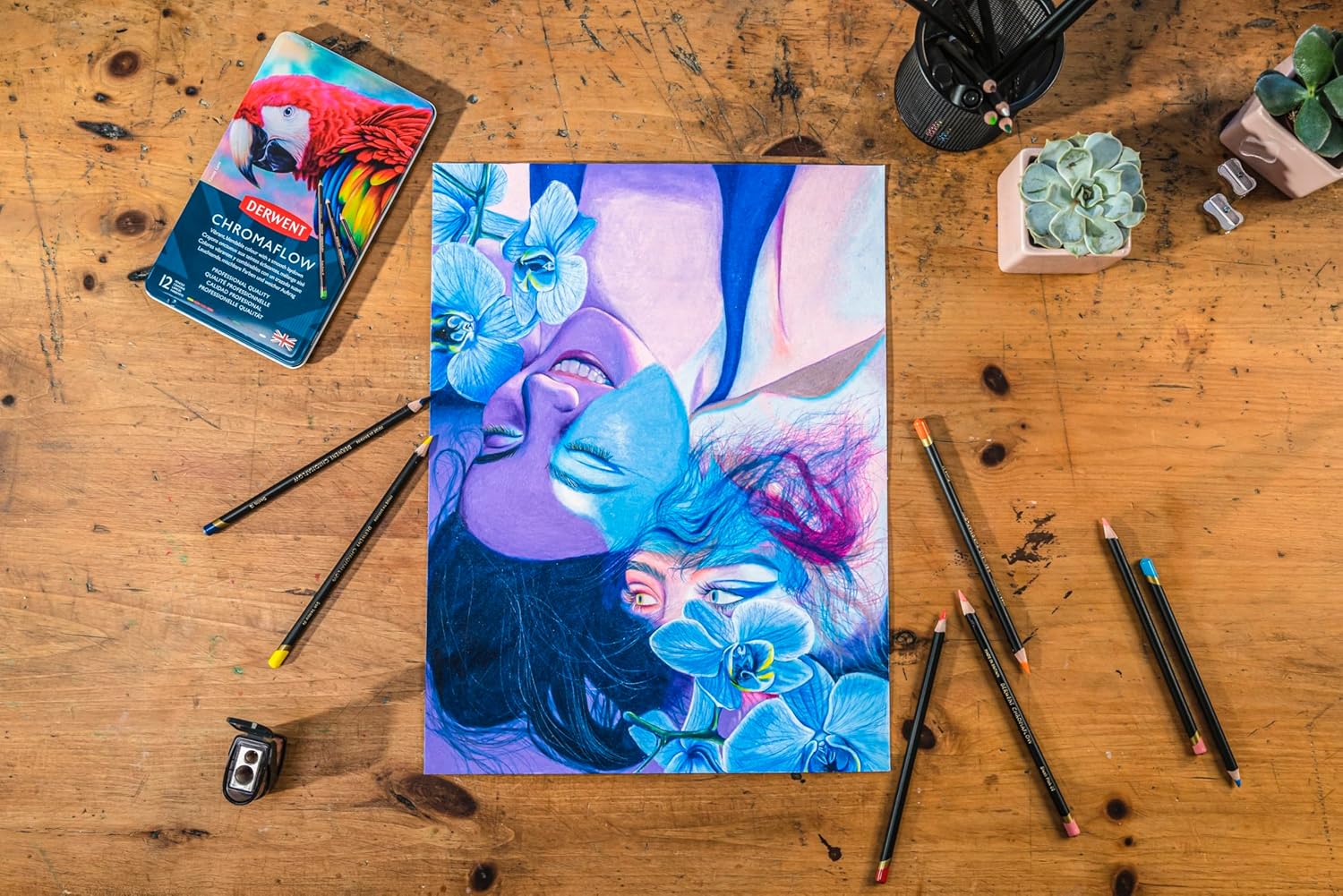 Thumbnail 5 de Derwent Chromaflow 12 crayons de couleur 🖍️