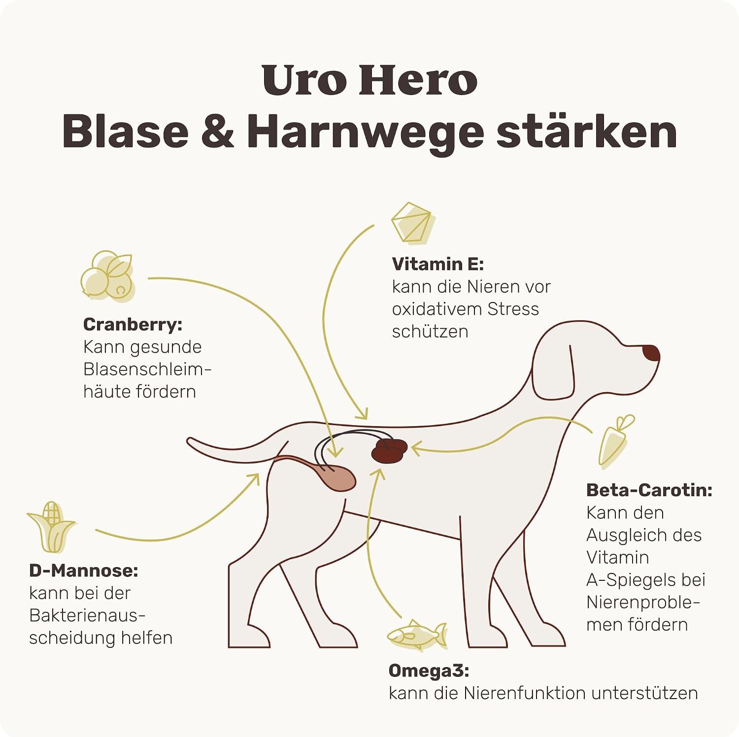 Detalle 2 de mammaly URO Hero 120 Blasenfutter 350g