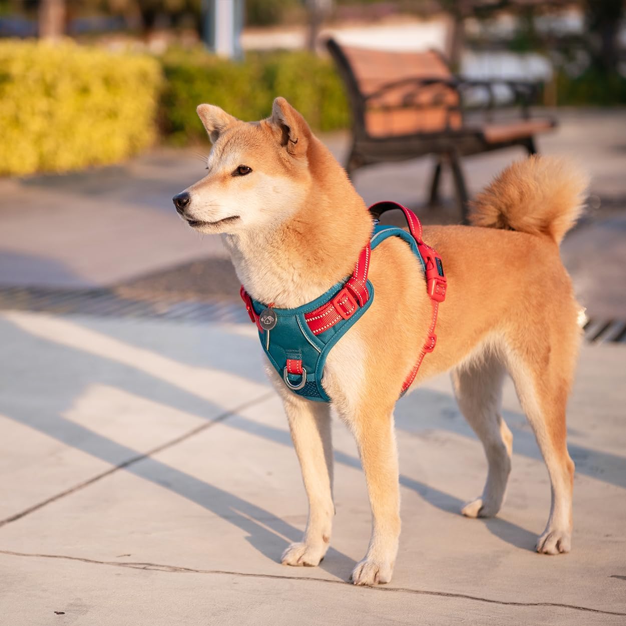 Thumbnail 6 de PHOEPET No Pull Dog Harness with Escape Proof Adjustable Vest, Reflective, Teal Base & Red Straps (Size M)