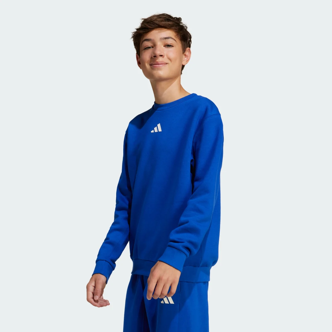 Detalle 2 de Sudadera All SZN Graphic cuello redondo para adolescentes de Adidas – color Azul