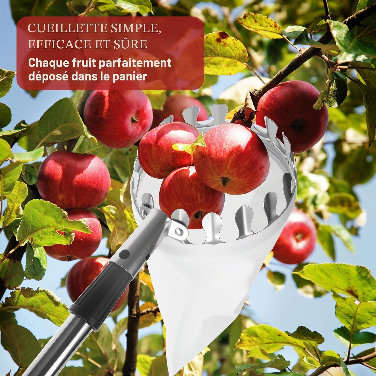 Thumbnail 4 de LIAILA ILQ-caizhaigan telescopische fruitplukker tot 4 m met roestvrijstalen steel