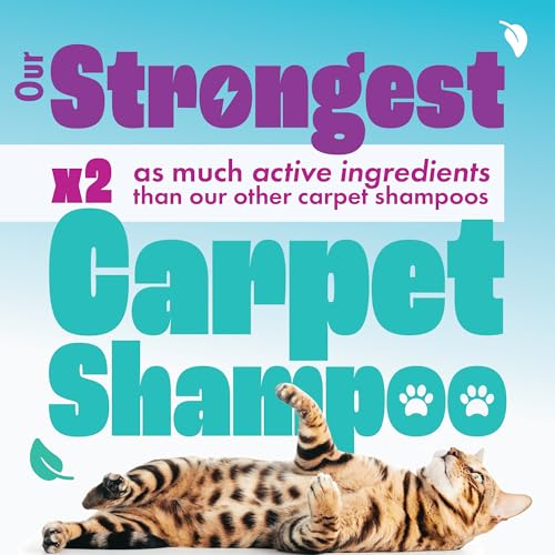Thumbnail 5 de Dirtbusters Pet Pro Carpet Cleaner Shampoo: Urine & Odour Remover (1L)