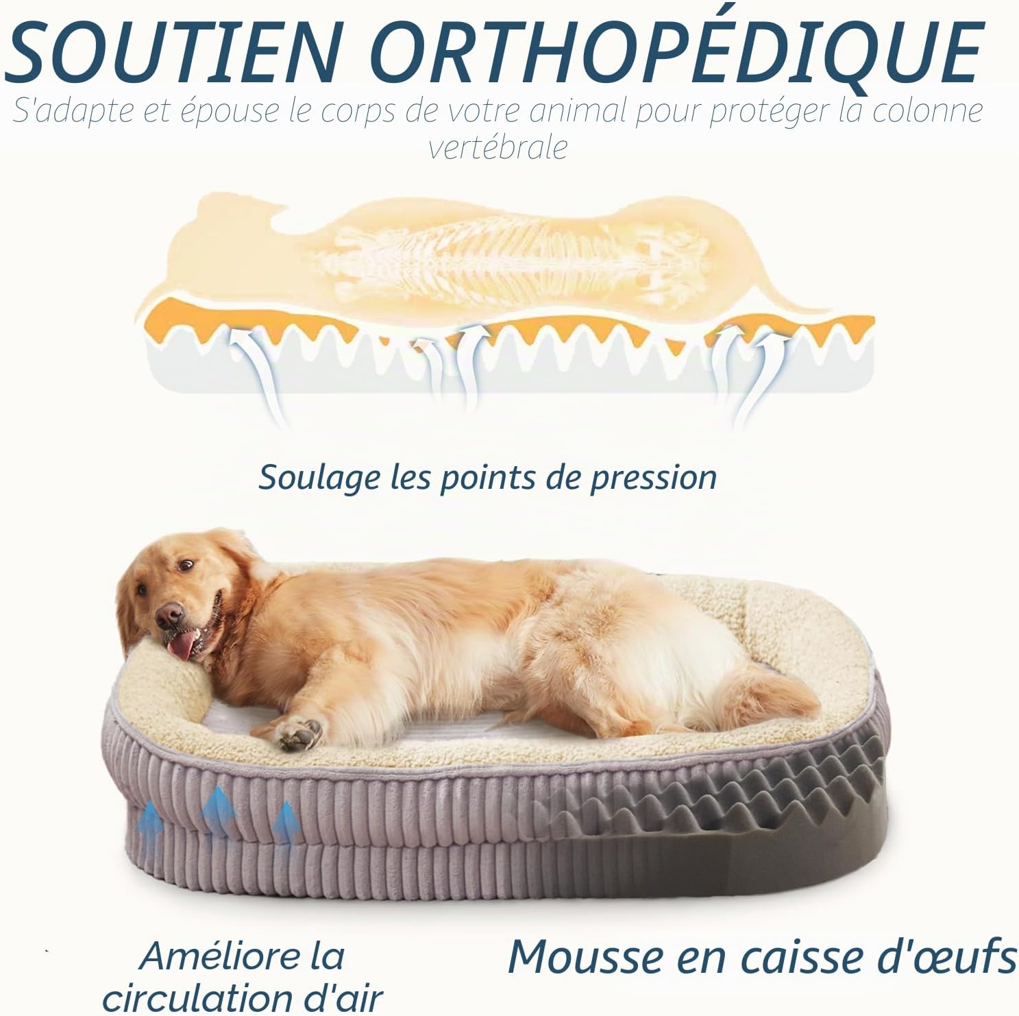 Thumbnail 1 de DEBANG HOME Panier pour Chien — Lit orthopédique en mousse haute densité pour chiens de taille moyenne (gris)