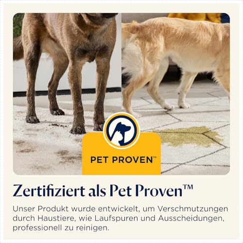 Thumbnail 7 de BISSELL SpotClean Pet Pro Teppichreiniger 750 W – kompakte Lösung für Haustierflecken (Modell 15585)