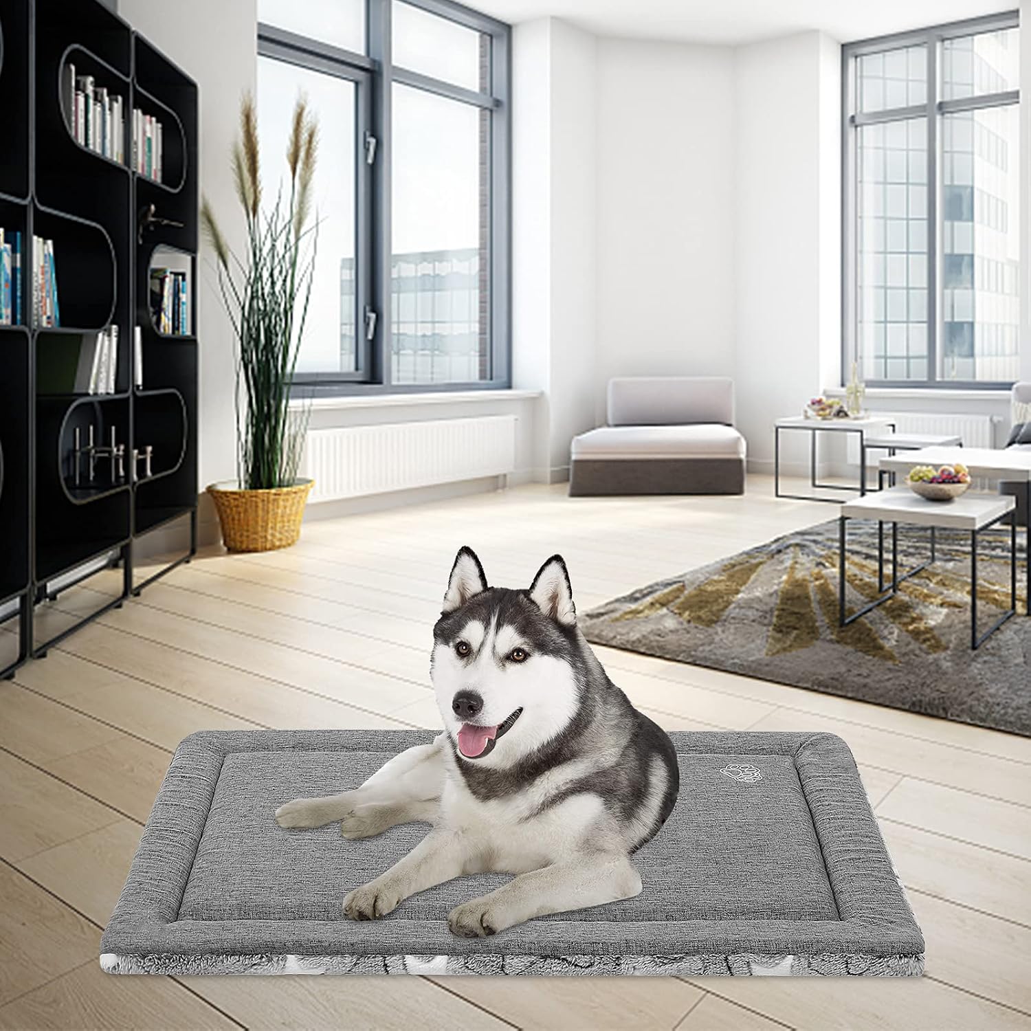 Thumbnail 4 de EMPSIGN Cuscino per Cani Taglia Grande reversibile in schiuma ad alta densità (92 x 61 x 2,8 cm) grigio
