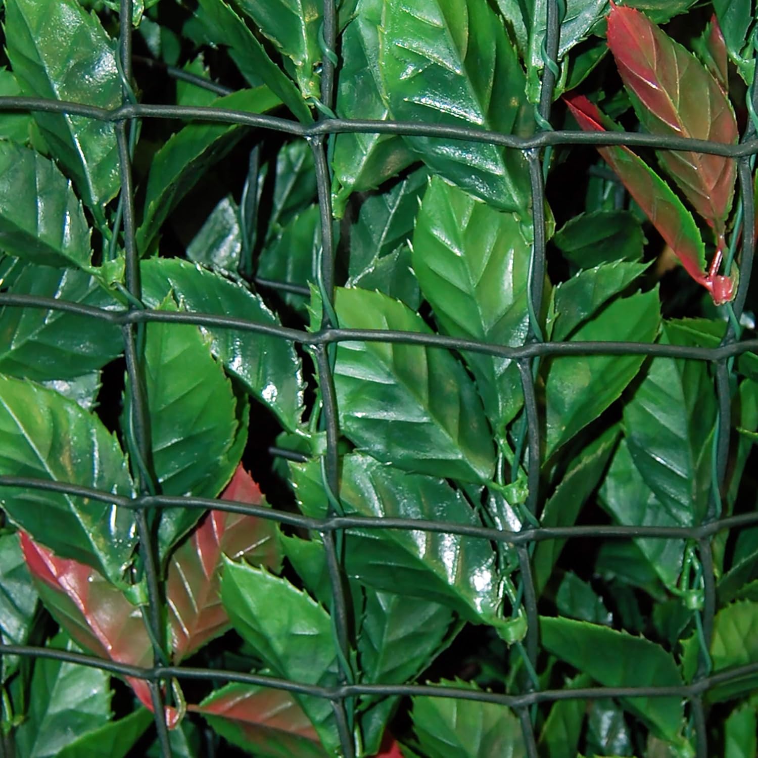 Thumbnail 1 de TENAX Divy 3D Plus Photinia: Siepe Sintetica 1,00x3m con Foglie 3D
